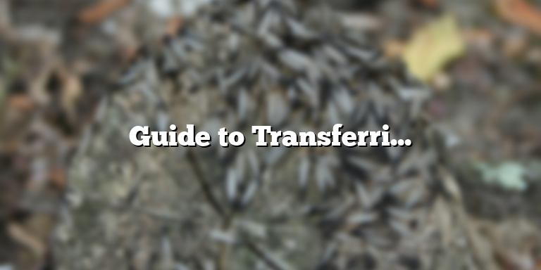 Guide to Transferring Medicaid to Another State