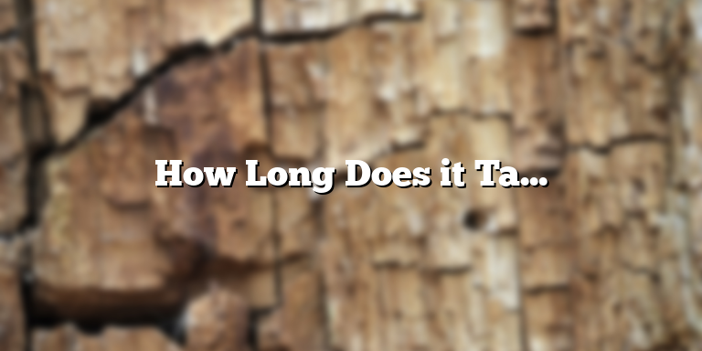 How Long Does it Take for a Herniated Disc to Heal?