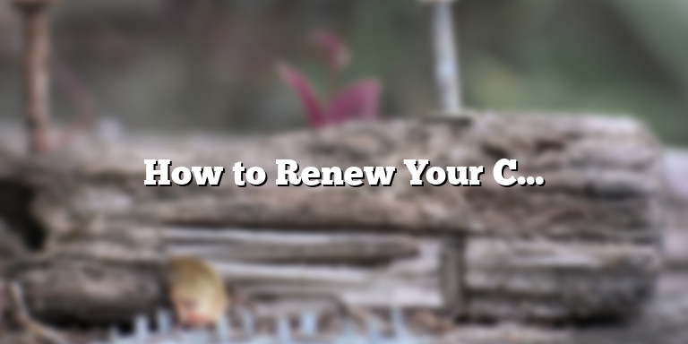 How to Renew Your CPR Certification
