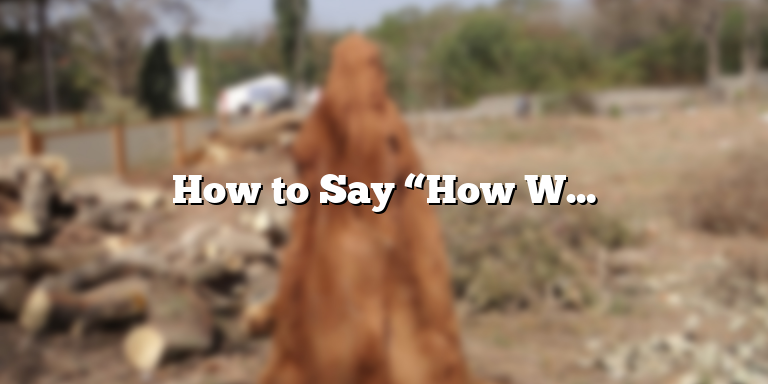 8-ways-to-say-how-was-your-day-in-spanish