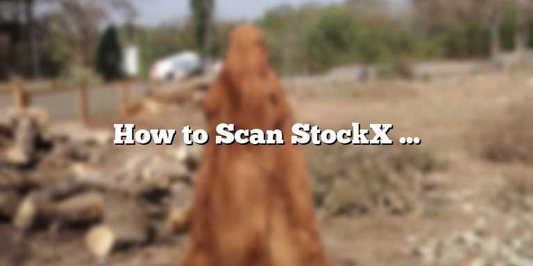 How to Scan StockX Tags: A Step-by-Step Guide