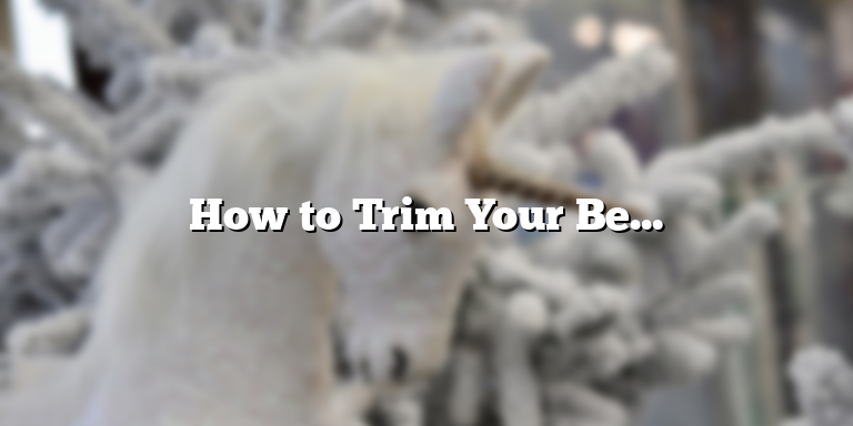 How to Trim Your Beard While Growing It Out