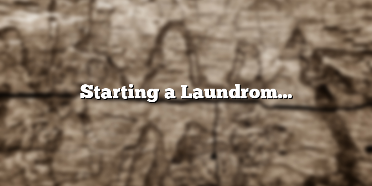 Starting a Laundromat Business with No Money: A Guide