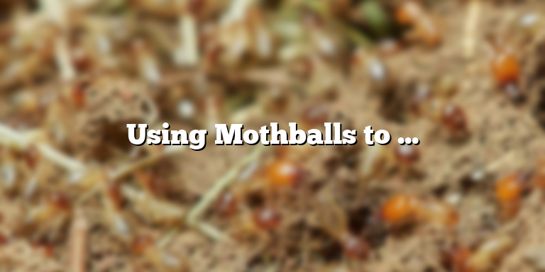 Using Mothballs to Eliminate Mice Infestation